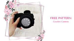 Free Crochet Camera Pattern by EmmaS Dolls